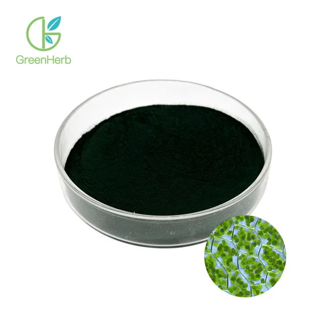 Chlorophyll Powder